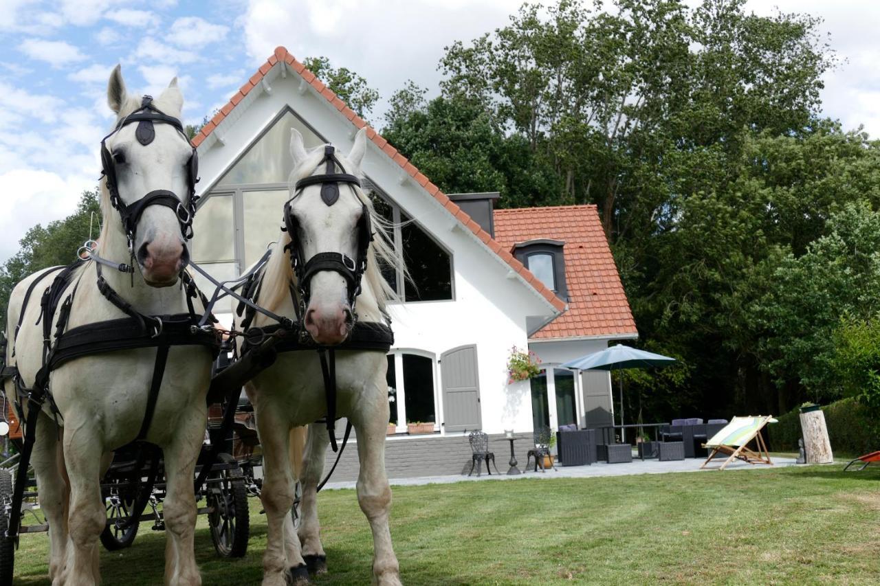 La Garonde Panzió Boeschepe Kültér fotó